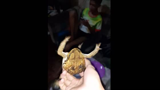 The guy pranked his brother by throwing a frog at him!