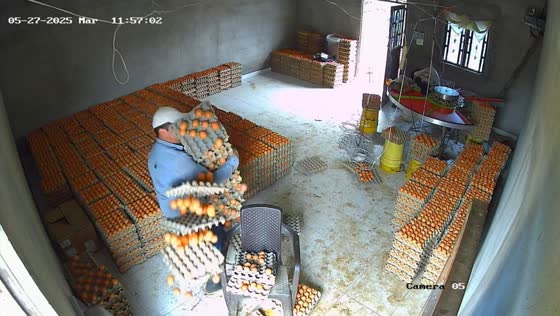 Man drops tray of eggs while turning in Gutiérrez, Cundinamarca, Colombia
