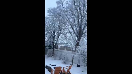 Heavy snow piles up quickly across neighborhood in New York, USA