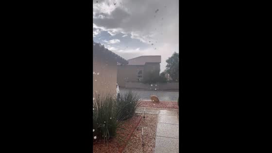 Hailstorm hits front yard during bright daylight in Las Vegas, USA
