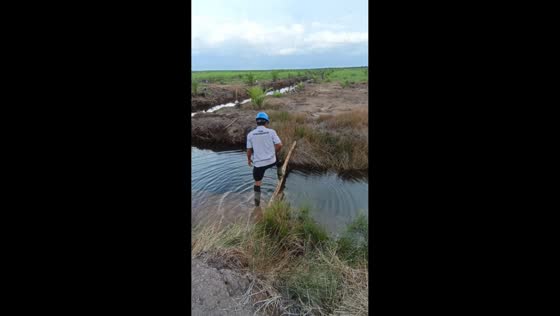 Man slips while crossing bamboo over floodwater in Banjarmasin, Indonesia
