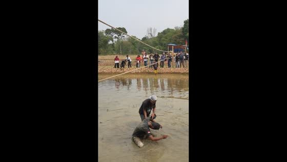 Man falls into muddy water while crossing ropes during Independence Day event in Karawang, Indonesia