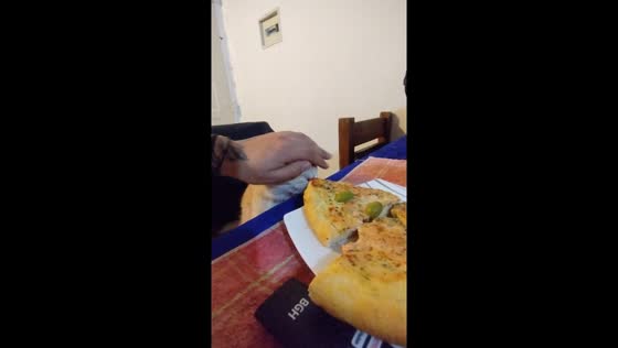 Mischievous cat attempts to snag pizza in Grand Bourg, Buenos Aires, Argentina