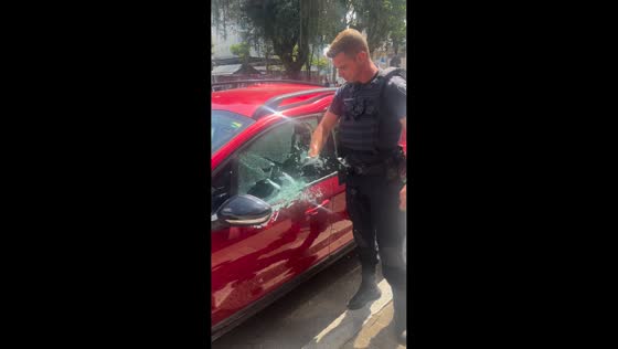 Police rescue dog from locked car in Santa Catarina, Brazil