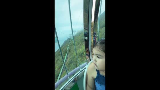 Cable car briefly stops mid-air during power interruption at Ocean Park in Hong Kong
