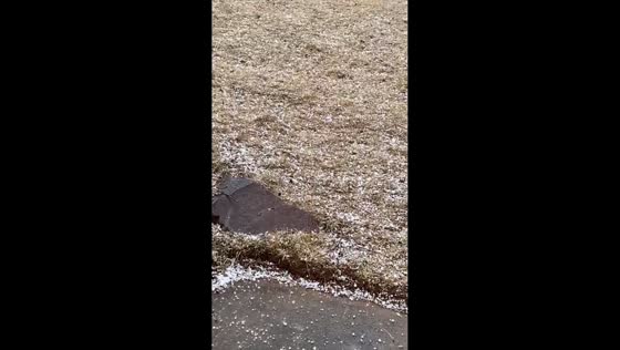 Thunder graupel covers the ground in Woodland Park, Colorado, USA