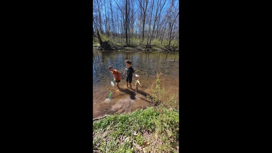 Boys discover deer remains while playing in creek in Green Lane, USA