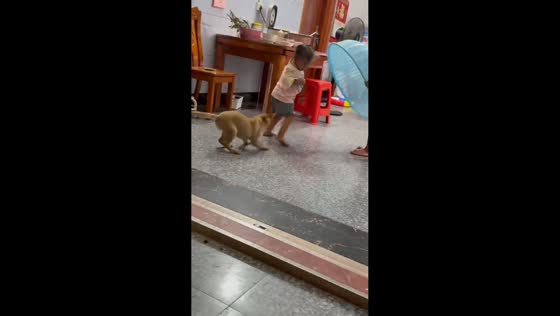 Little girl hides from playful dog in Guangxi, China