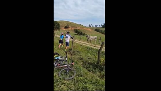 Ox charges biker and cyclists in startling encounter