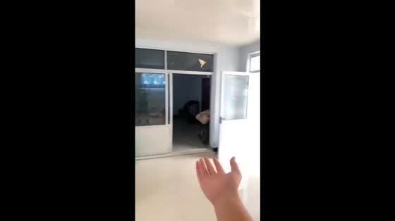 Lovebird accidentally hits glass door while flying indoors in Shandong, China