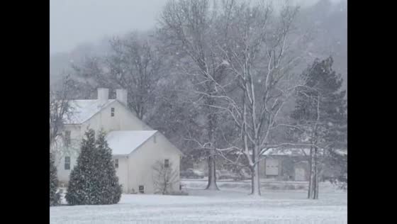 Blizzard-like snowfall reduces visibility in Rockingham, Virginia, USA