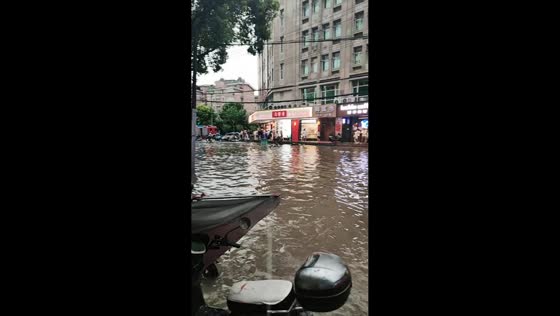 Severe flooding leaves streets underwater in Shanghai, China