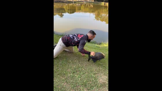 Person catches escaping fish before it returns to water in Brazil