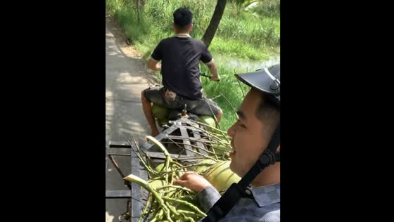 Tri-cycle rider loses control in Ben Tre, Vietnam