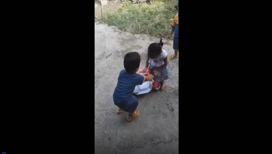 Startling act of sibling play: twin boys' mischievous toy hit leaves girl in tears