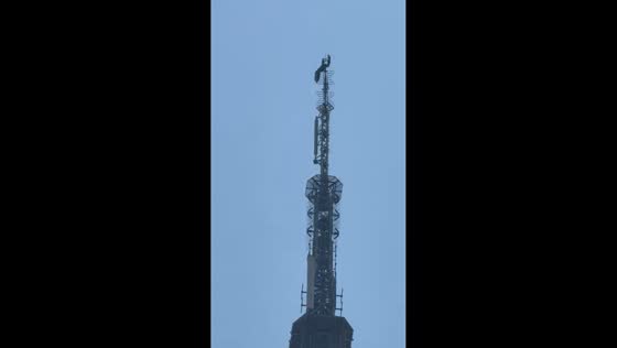 Couple displays banner atop Empire State Building in New York City, USA