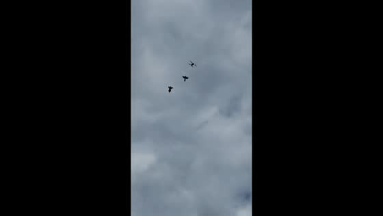 Birds chase drone mid-air in Shandong, China