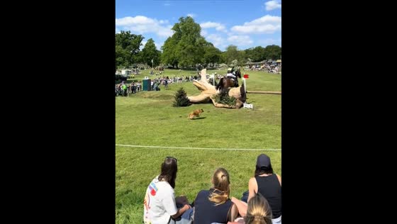 Dog chases rider and horse during Badminton Horse Trials in Gloucestershire, England