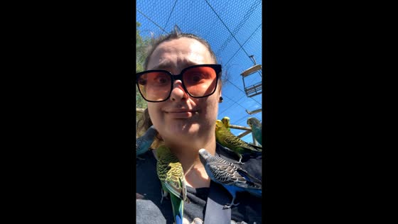 Budgie bliss: a real-life Snow White moment