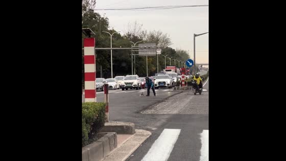 Food deliveryman saves kitten from busy Shanghai highway