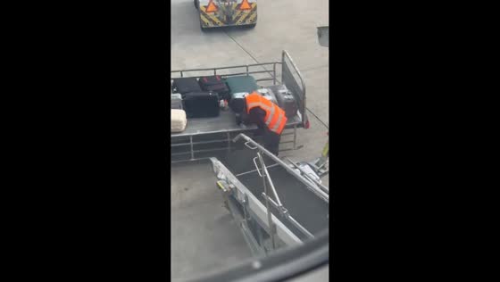 Airport worker shares sweet moment with rescued cats at Athens International Airport, Greece