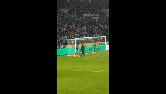 Squirrel disrupts pitch during match in Bristol, England, UK