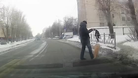 Man lifts dog by leash while crossing road in Omsk, Russia