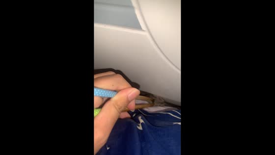 Mouse caught in bed in Hubei, China