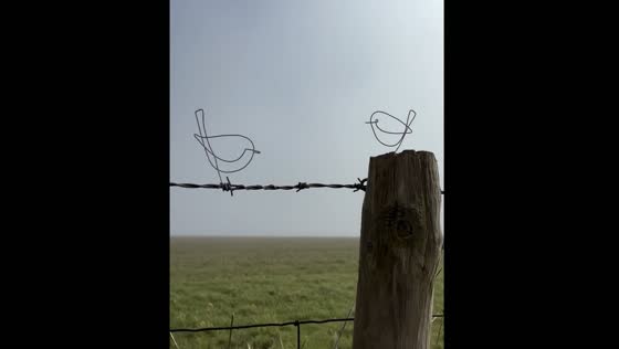 Fence in Berkshire decorated with artistic animal designs