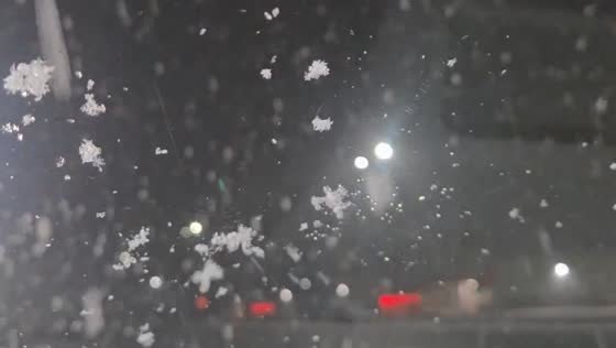 Meatball-sized snowflakes fall in New Albany, Indiana, USA