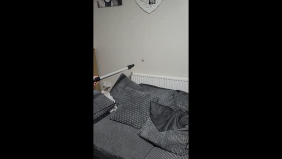 Video of spider being vacuumed in Cranbrook