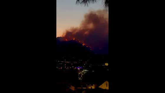 Massive wildfire triggers lockdowns across southern Tarragona, Spain