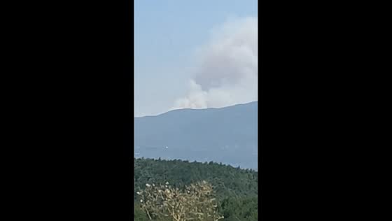 Thick smoke rises from forest fire near Lake Sapanca in Sakarya, Turkey