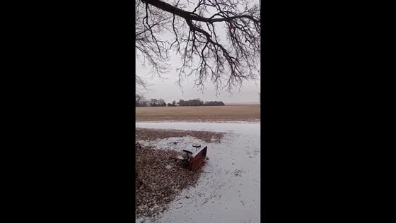 Gentle snowfall over a quiet rural landscape in Callaway, Nebraska, USA