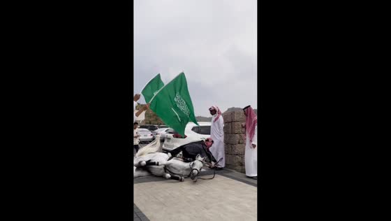 Horse trips during National Day celebration in Taif, Saudi Arabia