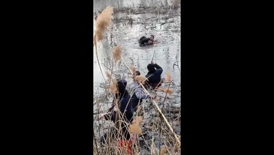 Rescue operation saves two people from swamp in Shandong, China