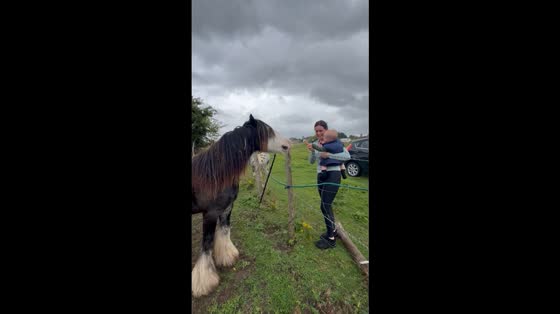 Baby bursts into laughter while feeding horse in Kent, England, UK