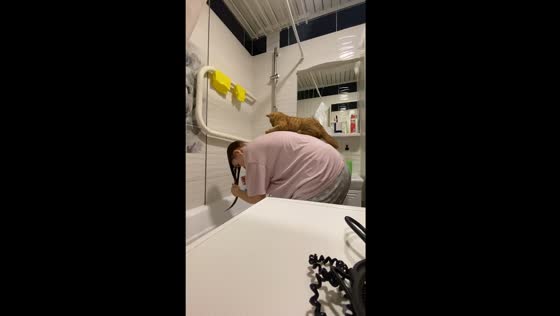 Cat Chipsik joins owner for hair wash in adorable video