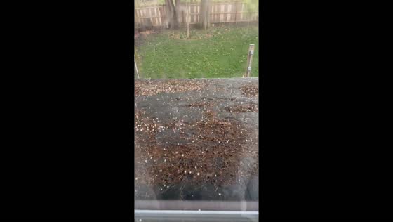 Upper Arlington, Ohio hit by pea-nickel sized hailstorm