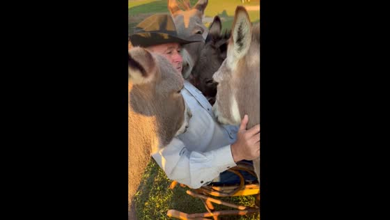 Husband sings to donkeys in Ohio