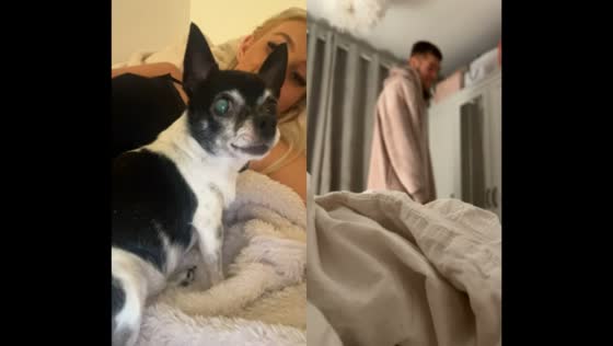 Dog's growling makes boyfriend wary 