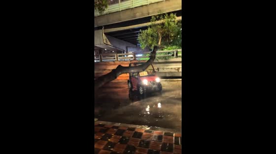 Microcar hits fallen tree on rainy night in Hebei, CHina