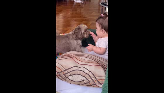 Bud the beer-named pup finally warms up to 9-month-old Liz