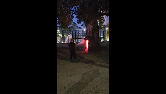 Sunchales Park tree set ablaze by boys, prompting fire extinguisher response