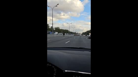 Horse runs along Moscow Ring Road in Russia