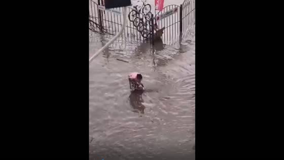 Tuapse's mop-wielding heroine: the savior of a flooded city