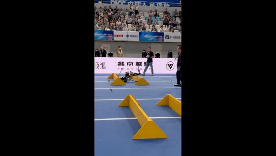 Humanoid robot falls while clearing hurdles in Beijing, China