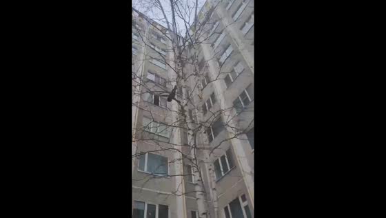 Teen stuntman takes leap of courage: double somersault dive from fifth floor into snowdrift
