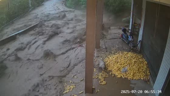 Dog narrowly escapes flash flood in Guizhou, China