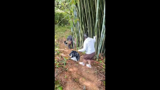 Man slips on wet downhill slope in Guangdong, China